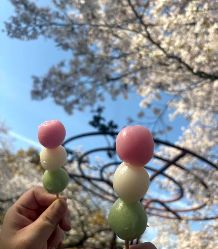 鶴見緑地公園の桜とお団子