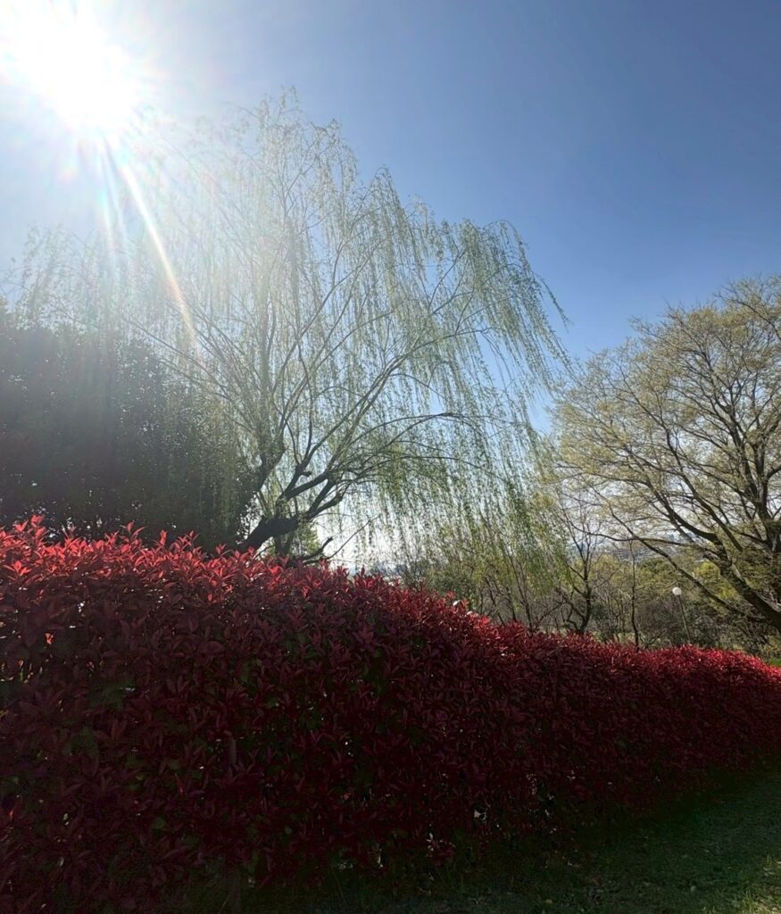 鶴見緑地公園山のエリア