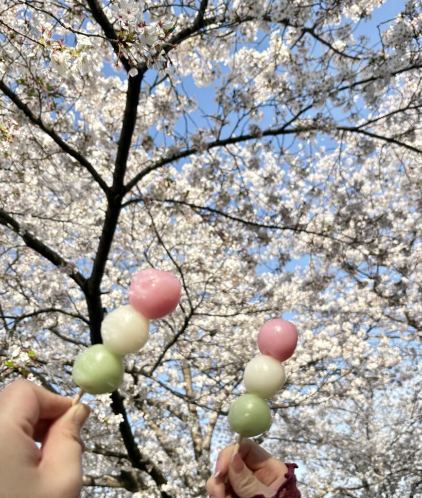 花博記念公園鶴見緑地の桜とお団子