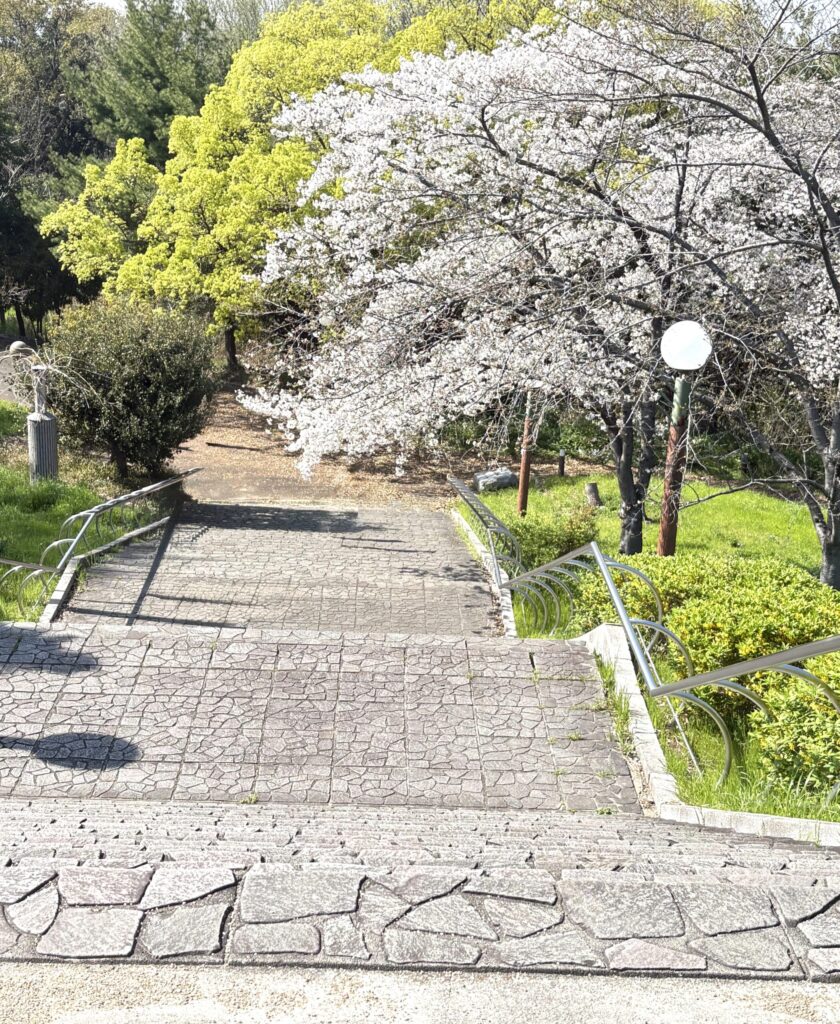 鶴見緑地公園の桜